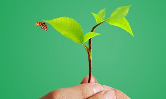 霸陵墓園聯系誰—霸陵墓園怎么樣—西安墓園多少錢