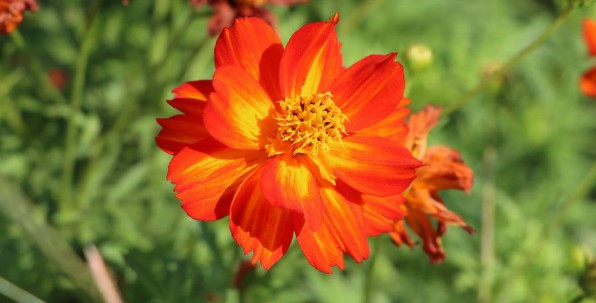 西安公墓有哪幾個