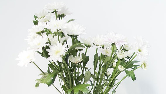 西安墓園預(yù)約-西安墓園預(yù)約：難題與解決