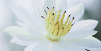 西安壽陽山墓園下葬時間-西安壽陽山墓園下葬時間靜謐舒適環境